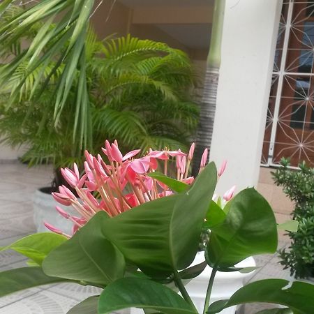 מנאוס Each Hostel Da Amazonia מראה חיצוני תמונה