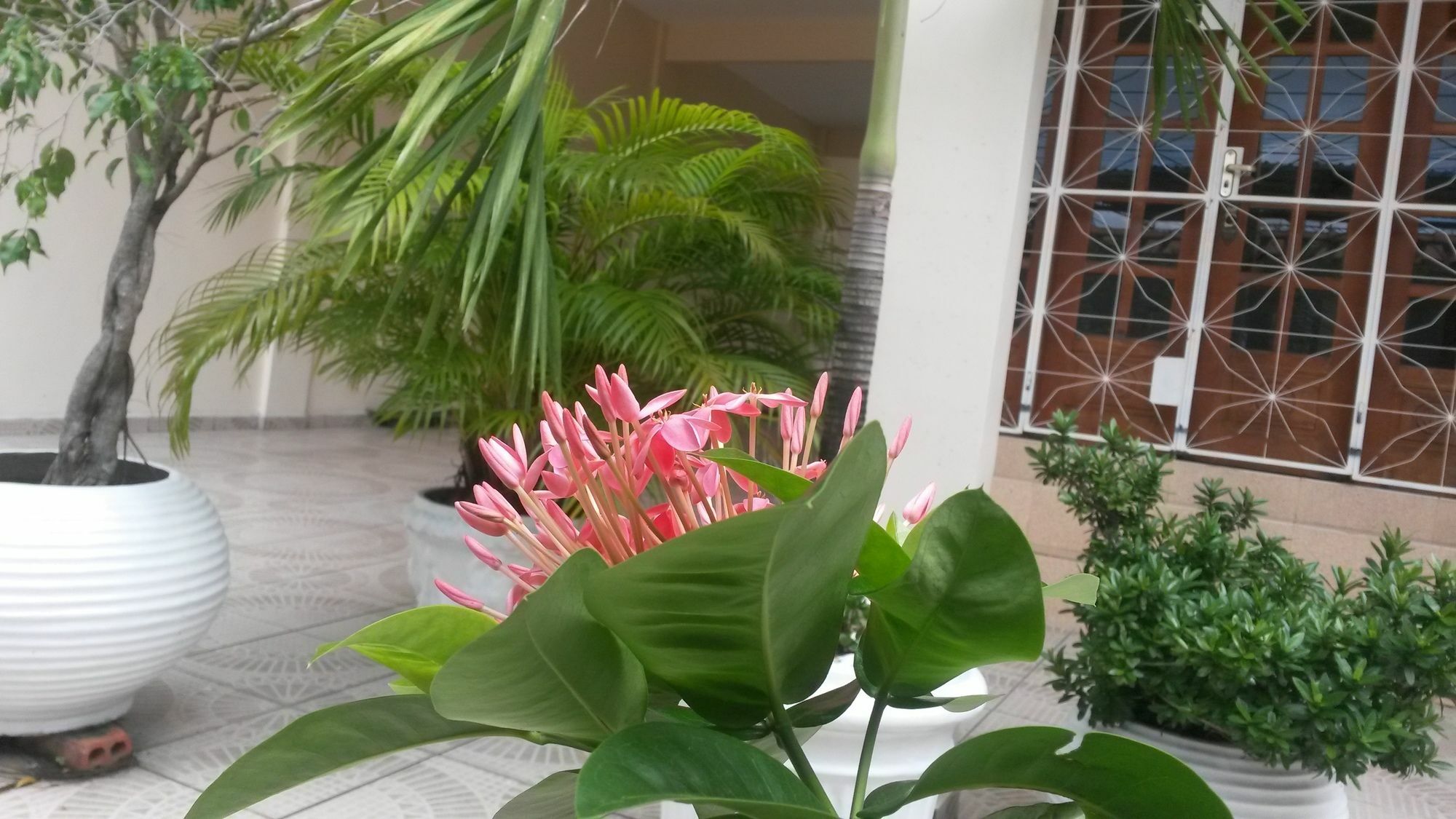 מנאוס Each Hostel Da Amazonia מראה חיצוני תמונה